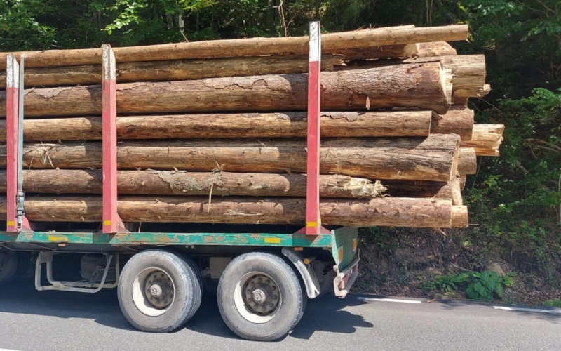 Autoutilitară cu lemne, prinsă cu marfă-n plus față de aviz în trafic