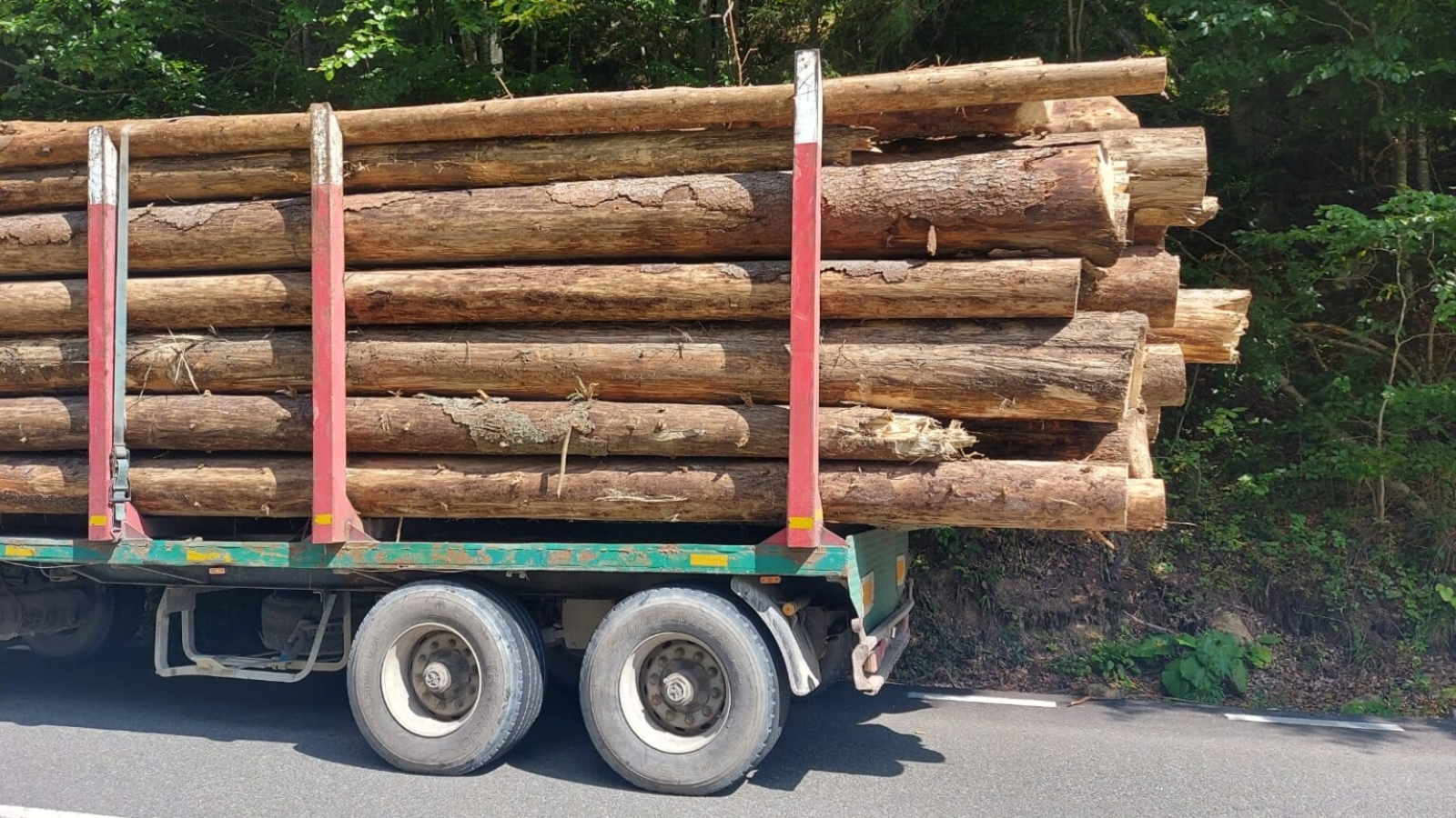 Autoutilitară cu lemne, prinsă cu marfă-n plus față de aviz în trafic