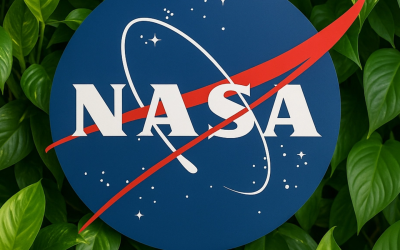 NASA lansează telescopul-gigant: Vezi noul atlas al Universului