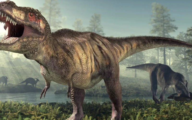 OU de dinozaur record în China: Guinness certifică cea mai mică fosilă non-aviară