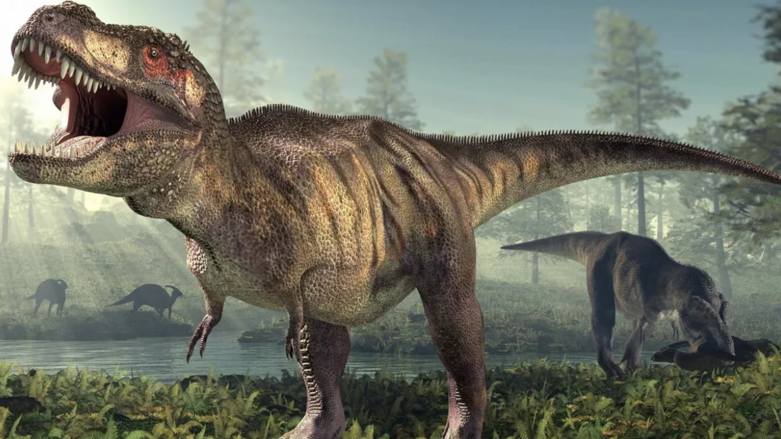 OU de dinozaur record în China: Guinness certifică cea mai mică fosilă non-aviară