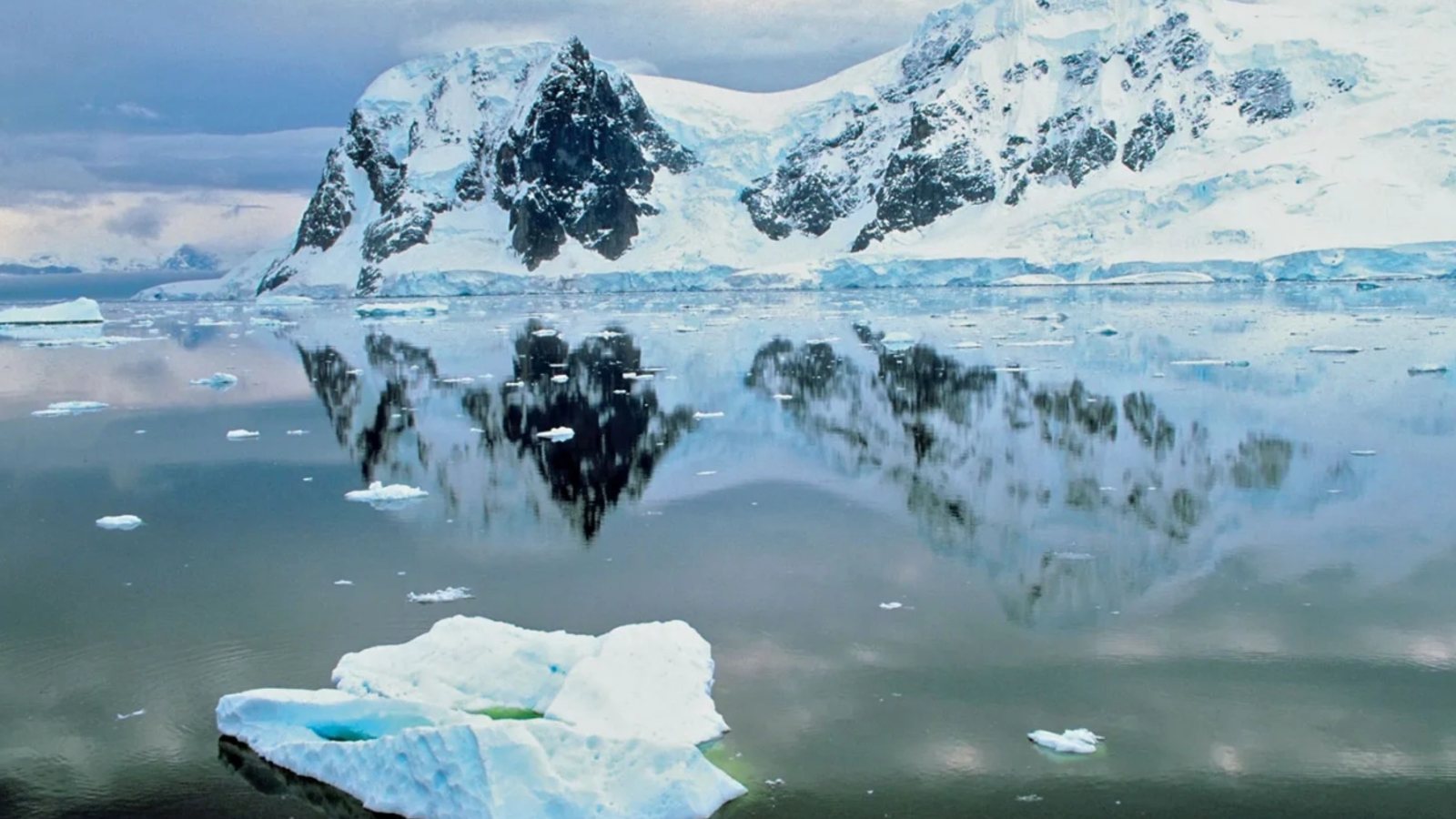 Alerta în Antarctica: Modificări alarmante ale gheții. Ce spun oamenii de știință