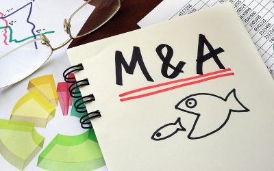 Carrefour și Garanti vând afaceri: Piața de M&A din România, la maxim în trimestrul 1