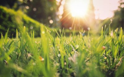 Vreme de primăvară: Temperaturi în creștere, dar ploi în România