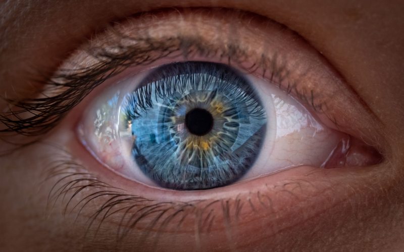 Ochii văd culorile! Studiu revoluționar despre focus, fără claritate