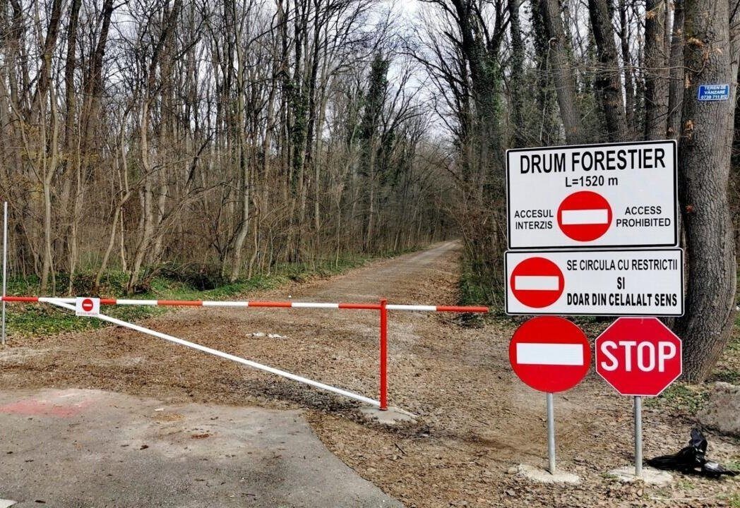 Mașinile, INTERZISE în Pădurea Băneasa: Romsilva închide drumul auto