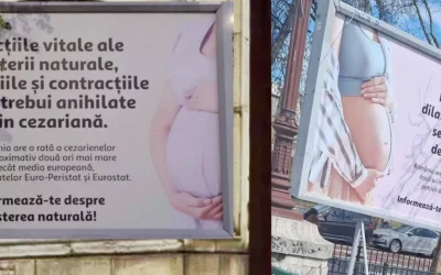 Senatoare revoltată de panourile din București: „Mi se pare o nebunie”