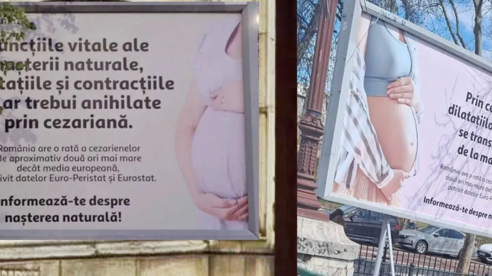 Senatoare revoltată de panourile din București: „Mi se pare o nebunie”