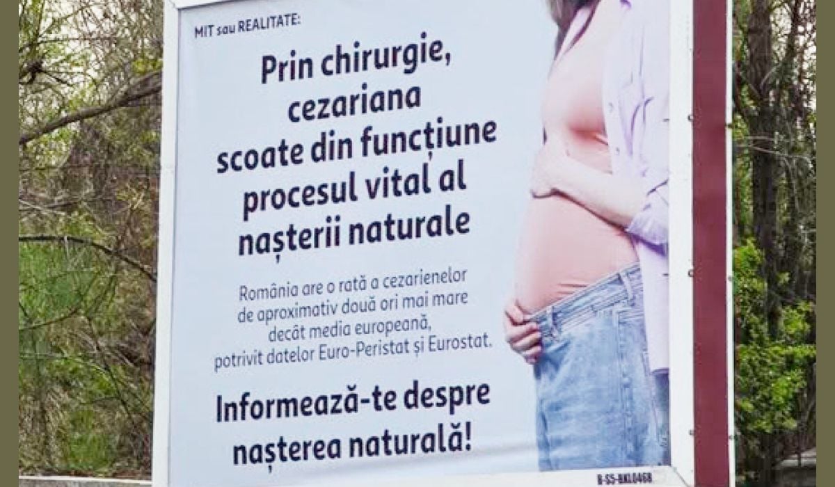 Diana Buzoianu, scandal cu panourile: Sesizare la ANPC și primărie