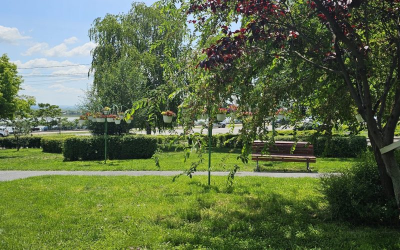 Interdicții drastice în spațiul public din România. Cei care încalcă legea, urmăriți penal