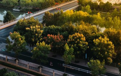 Galați: Patru păduri urbane prind viață cu 3,5 milioane lei PNRR