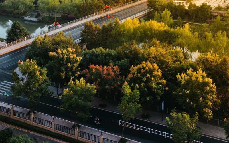 Galați: Patru păduri urbane prind viață cu 3,5 milioane lei PNRR