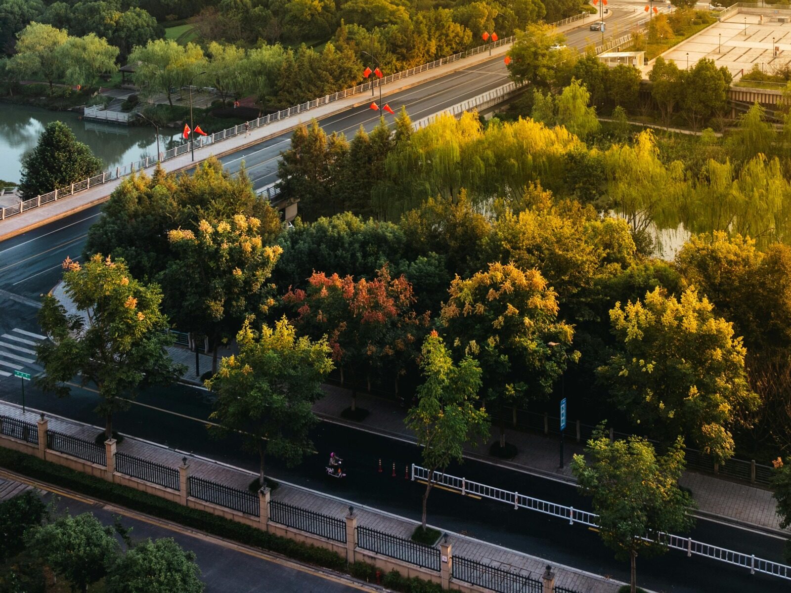 Galați: Patru păduri urbane prind viață cu 3,5 milioane lei PNRR