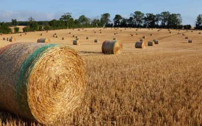 Franța primește 300 milioane euro de la Comisia Europeană pentru agricultură