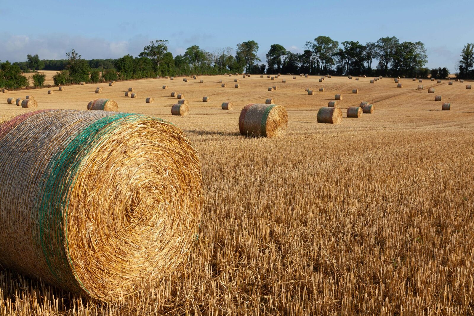Franța primește 300 milioane euro de la Comisia Europeană pentru agricultură