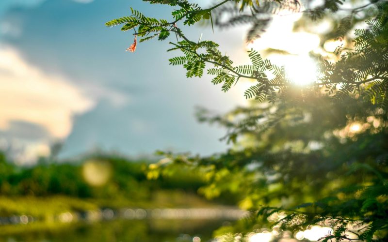 Soarele „pârjolește” pielea sensibilă: Ce spun medicii despre riscurile din primăvară