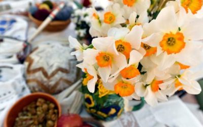 Plante ucigătoare în case: Ce specii ascund pericolul