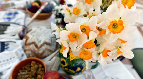 Plante ucigătoare în case: Ce specii ascund pericolul