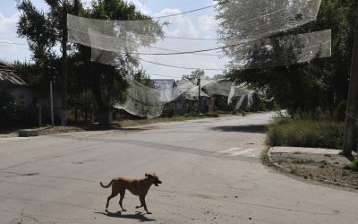 Ucrainenii, speriați de noi atacuri: Armistițiul, doar o pauză? Cer pace reală