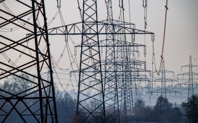 Austria nu mai așteaptă UE: Subvenții pentru energie, „birocrație nesfârșită”