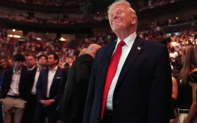 Cum au făcut milioane pariind pe deciziile lui Donald Trump