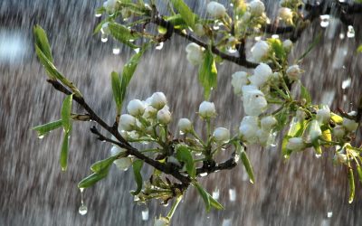 Temperaturi în scădere în week-end: Unde vine ploaia în România