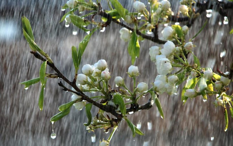 Temperaturi în scădere în week-end: Unde vine ploaia în România