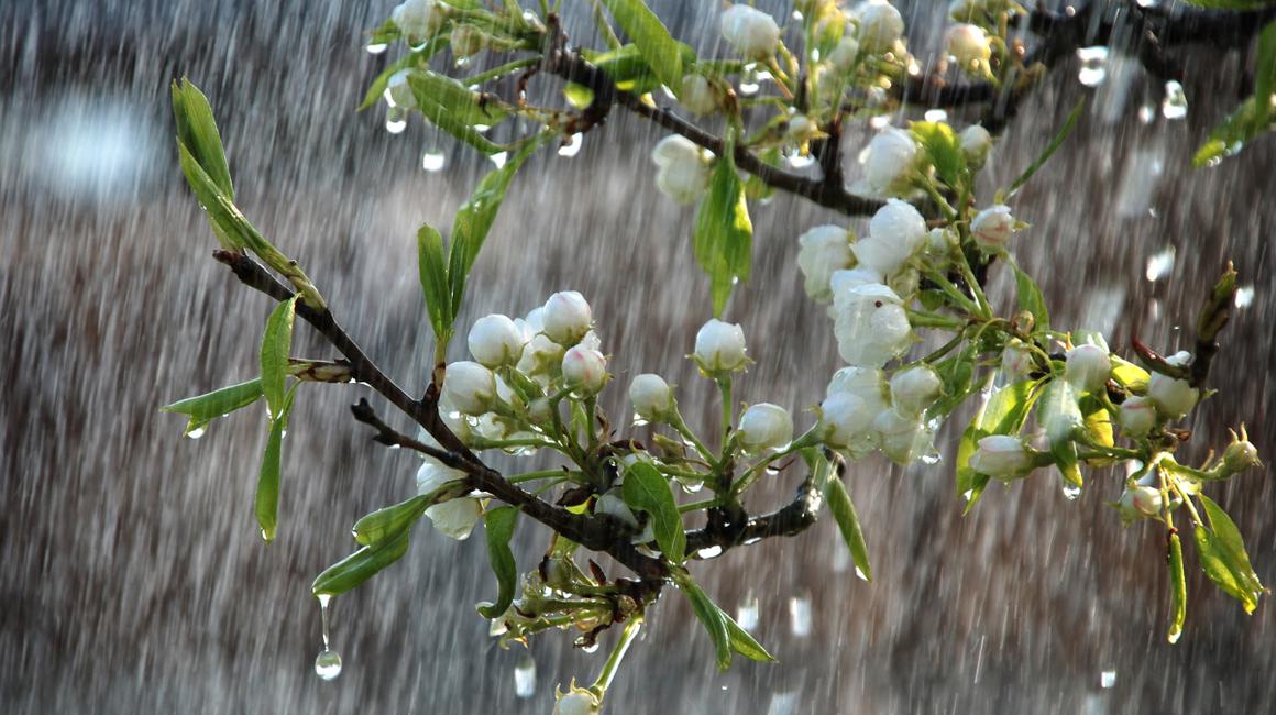Temperaturi în scădere în week-end: Unde vine ploaia în România