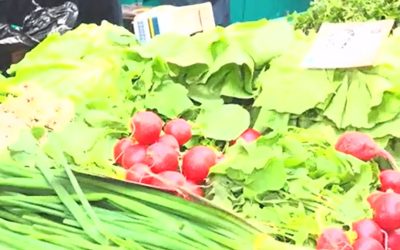 Observator, apel pentru eliminarea alimentelor toxice din piețe: Exemplul Danemarca