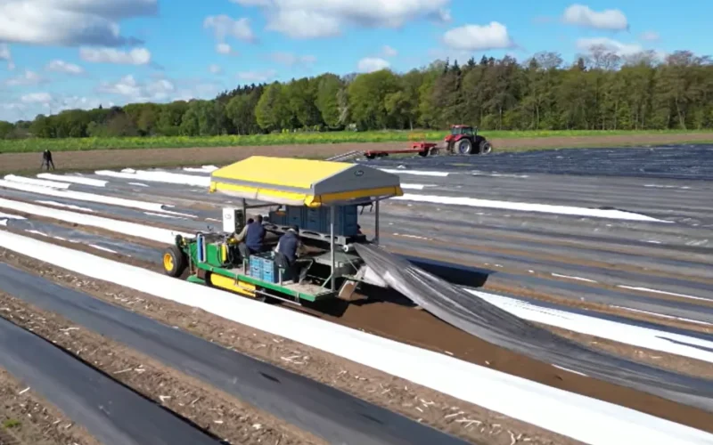 Robotul care înlocuiește românii: Fermele GERMANIEI, cucerite de inteligența artificială