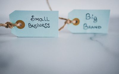 Bătălia Brandurilor: Localii „David” vs. Gigantii Globali „Goliath” în România