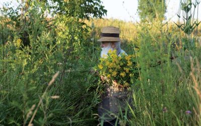 Ștefan Câlția expune la Sibiu: Temele recurente care l-au consacrat