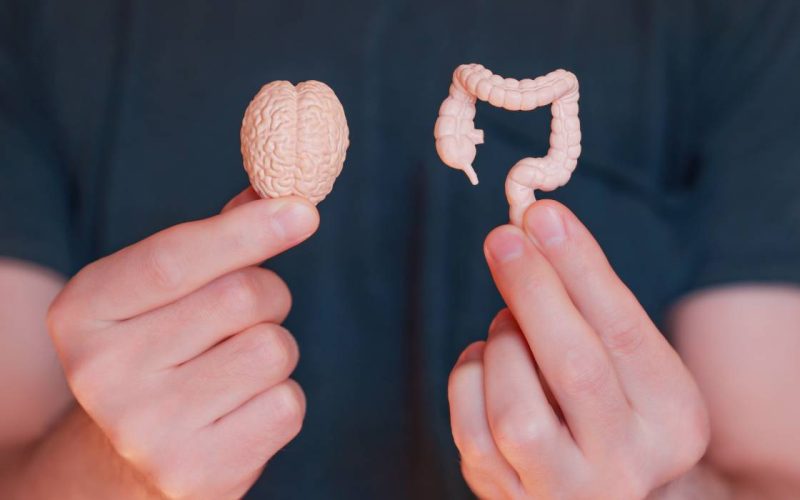 Stresul Sărbătorilor, Dușmanul Digestiei: Ce Se Întâmplă cu Apetitul?