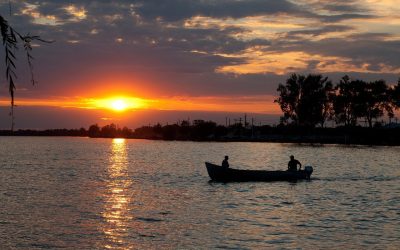 Tineri britanici, seduși de artă: Un studio PLUTITOR e soluția