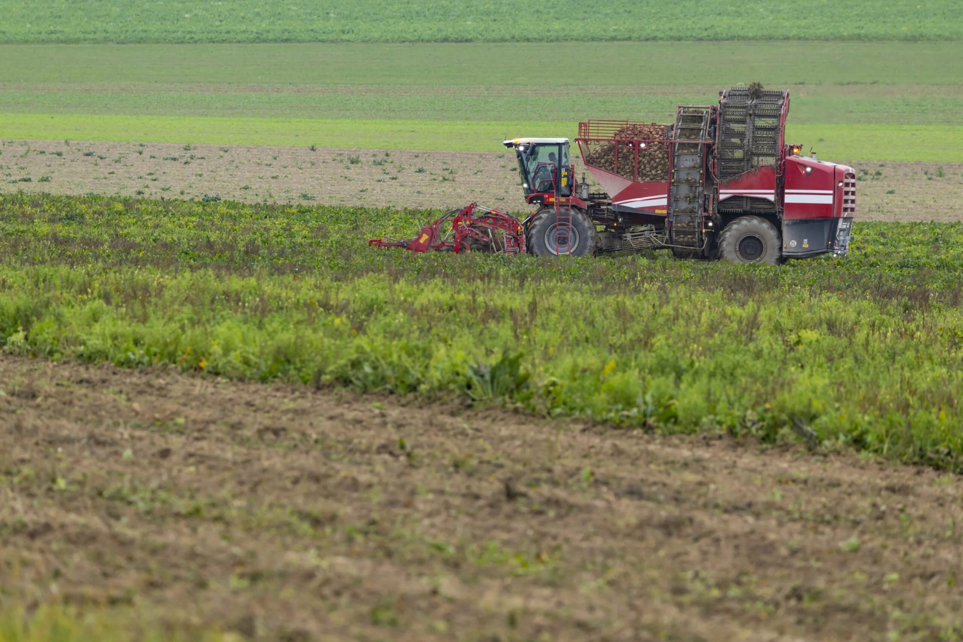 ANM: Recolte bogate, dar secetă posibilă în unele zone