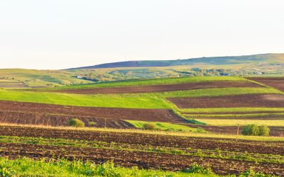 Arendă 2026: Ce drepturi și obligații au fermierii și proprietarii de terenuri