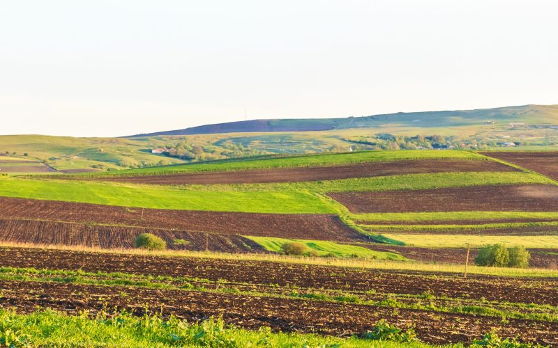 Arendă 2026: Ce drepturi și obligații au fermierii și proprietarii de terenuri