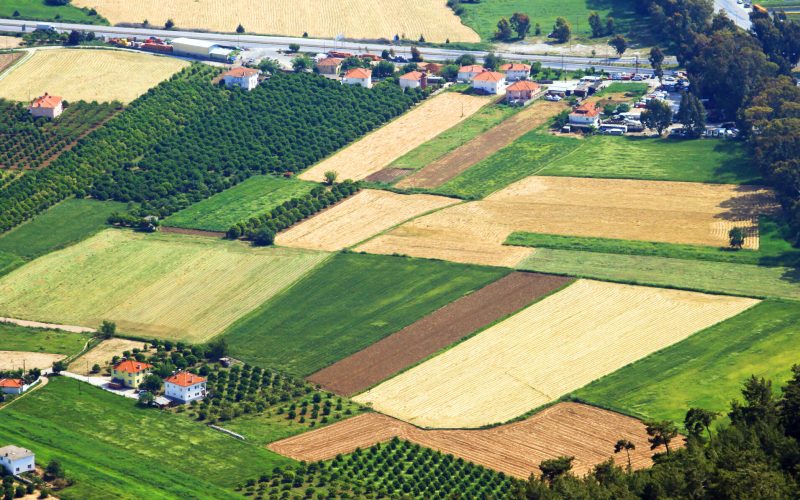 Achiziții Imobiliare: Ghidul COMPLET pentru cumpărarea unui teren în 2026 în România