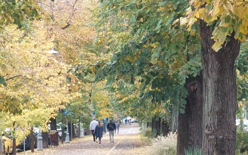 Campanie Declic: Sectorul 4 vrea parc Donald Trump? Reacții dure