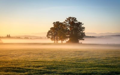METEO: Vreme capricioasă în România până la 18 mai. ANM anunță temperaturi neobișnuite