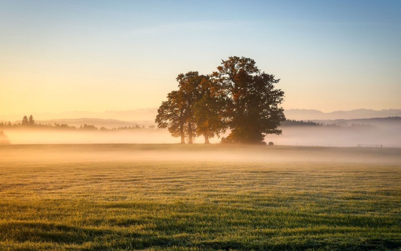 METEO: Vreme capricioasă în România până la 18 mai. ANM anunță temperaturi neobișnuite