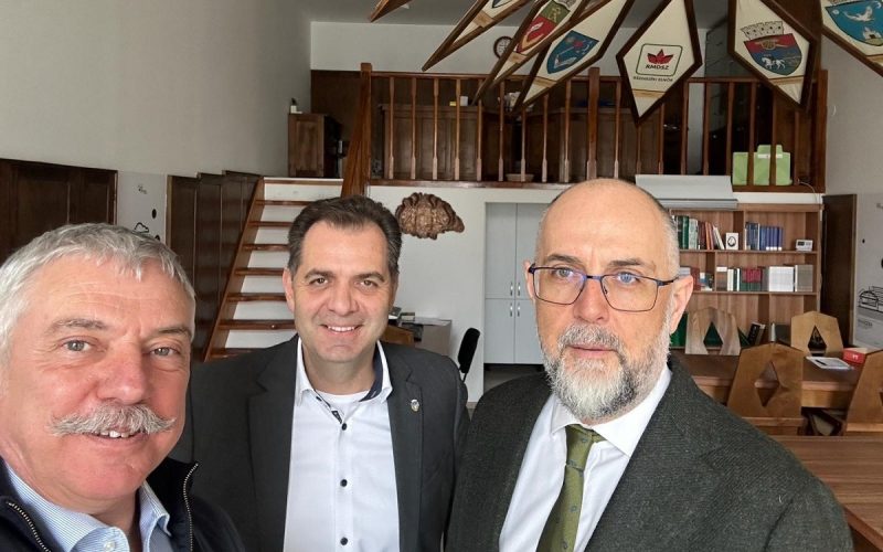 Maghiarii din Transilvania, condiție pentru demisia din partid