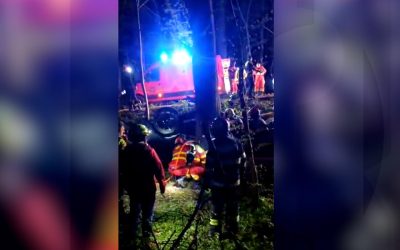 Moarte cumplită în Pădurea Snagov: Mihai și David, răpuși la 20 de ani