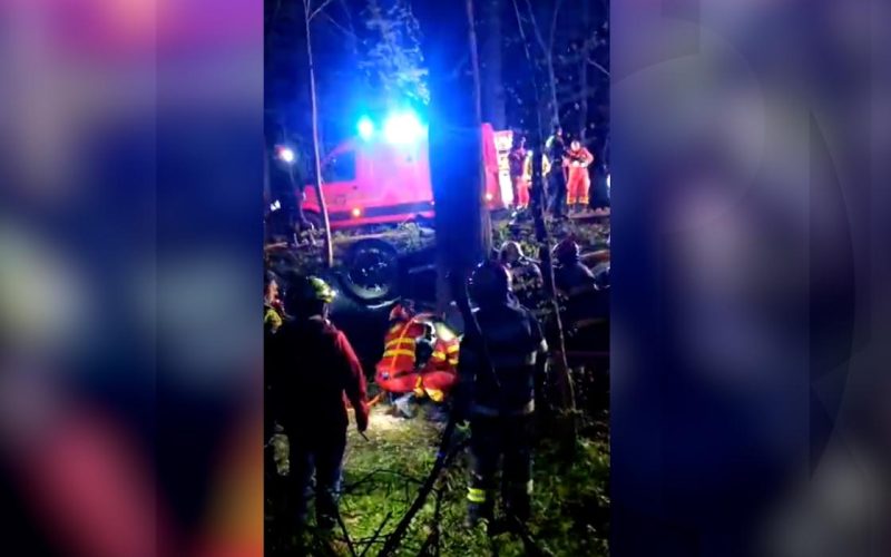 Moarte cumplită în Pădurea Snagov: Mihai și David, răpuși la 20 de ani