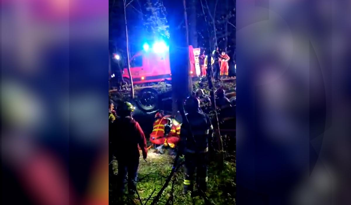Moarte cumplită în Pădurea Snagov: Mihai și David, răpuși la 20 de ani