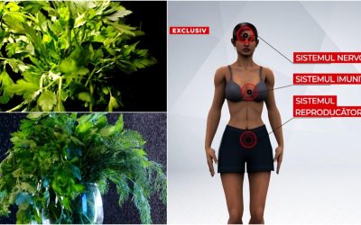 Legumele din piețe, la analize: Leuştean, mărar, pătrunjel, cu „surprize”