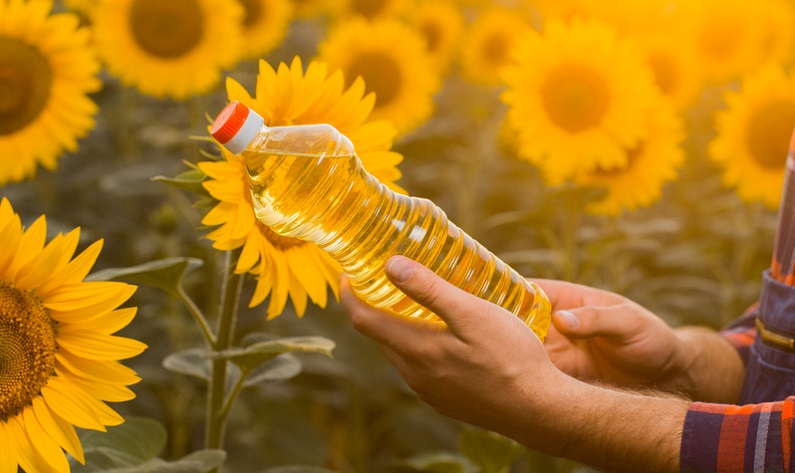 Bulgăroaică face afaceri cu bani de la București: Fabrică în Ialomița