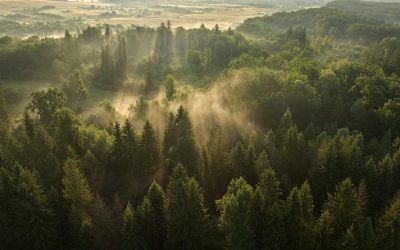 Sunete din Parcul Vânători Neamț pe platforma globală Earth FM