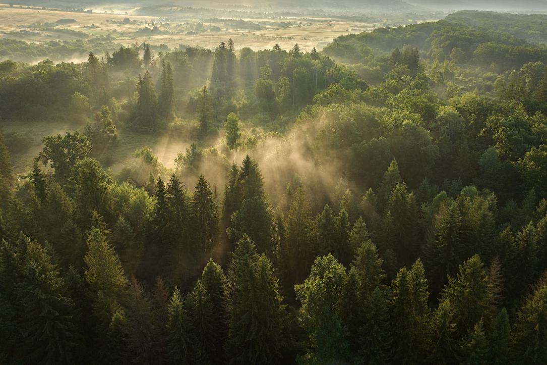 Sunete din Parcul Vânători Neamț pe platforma globală Earth FM