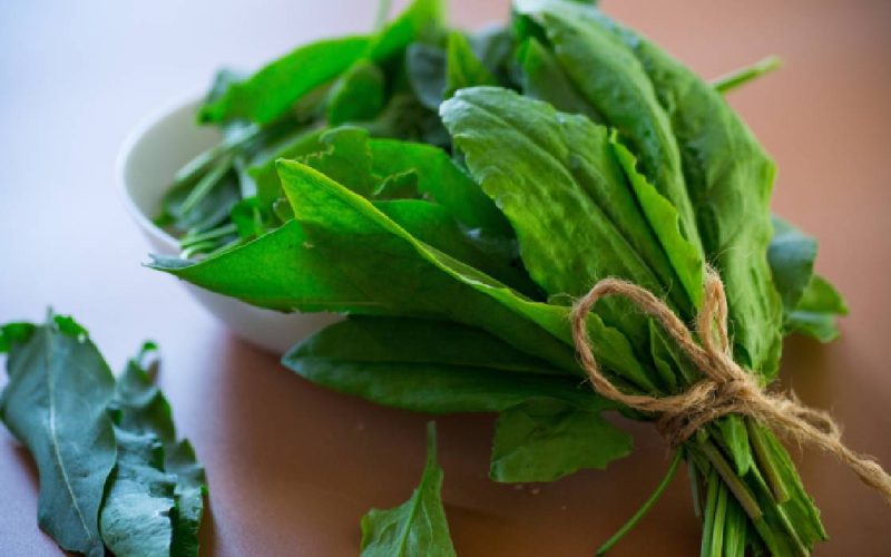 Verdețurile scad tensiunea: Un studiu arată efectul lor benefic